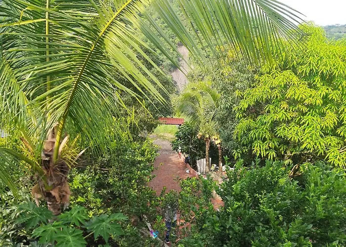 Finca El Progreso Cabanas Tipo Apartamento